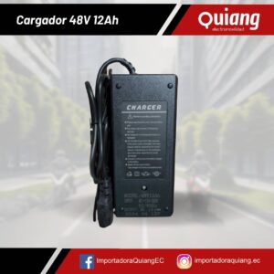 Cargador de Batería 48V 12Ah para Motos Eléctricas de Plomo Ácido