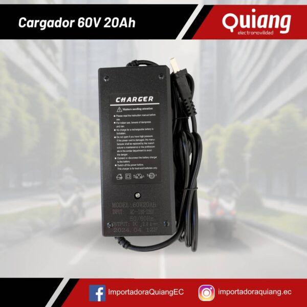 Cargador de Batería 60V 20Ah para Motos Eléctricas de Plomo Ácido