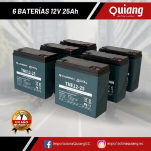 Pack 6 Baterías para Moto Eléctrica 12V25Ah Tianneng